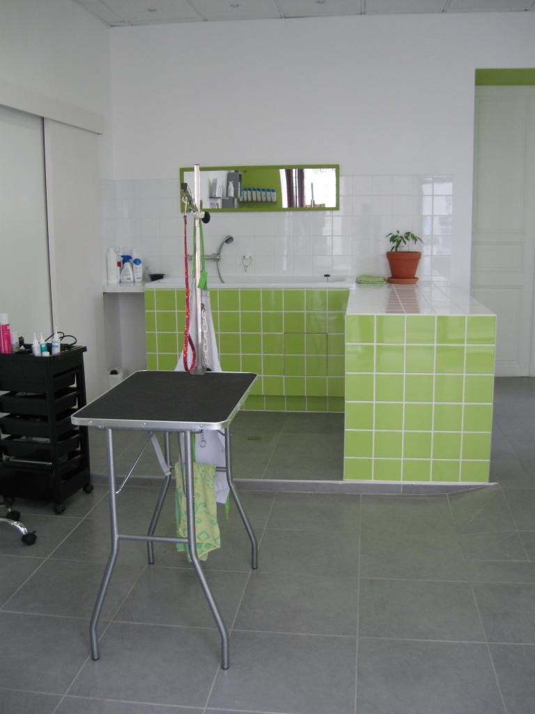 partie toilettage